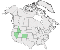 Distributional map for Phlox kelseyi Britton ssp. salina (M.E. Jones) Wherry