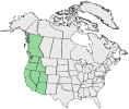 Distributional map for Plagiobothrys asper Greene