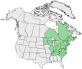 Distributional map for Poa alsodes A. Gray