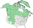 Distributional map for Poa arctica R. Br. ssp. arctica