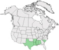 Distributional map for Quercus similis Ashe