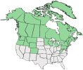 Distributional map for Ranunculus reptans L.