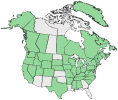 Distributional map for Ranunculus repens L.
