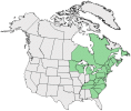 Distributional map for Rubus canadensis L.