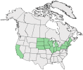 Distributional map for Rumex orbiculatus A. Gray