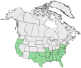 Distributional map for Rumex pulcher L.