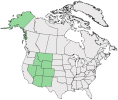 Distributional map for Saxifraga caespitosa L. ssp. monticola (Small) A.E. Porsild