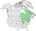 Distributional map for Salix cordata Michx.