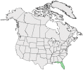 Distributional map for Seymeria pectinata Pursh ssp. peninsularis (Pennell) Pennell