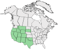 Distributional map for Solidago arizonica (A. Gray) Woot. & Standl.