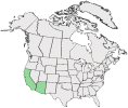 Distributional map for Sphaeralcea ambigua A. Gray ssp. rosacea (Munz & I.M. Johnst.) Kearney