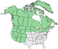 Distributional map for Stellaria longipes Goldie ssp. longipes