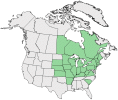 Distributional map for Stachys palustris L. ssp. arenicola (Britton) Gill