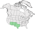 Distributional map for Tetraclea coulteri A. Gray var. angustifolia (Woot. & Standl.) A. Nelson & J.F. Macbr.