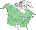 Distributional map for Trifolium elegans Savi