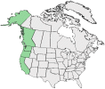 Distributional map for Vicia gigantea Hook.